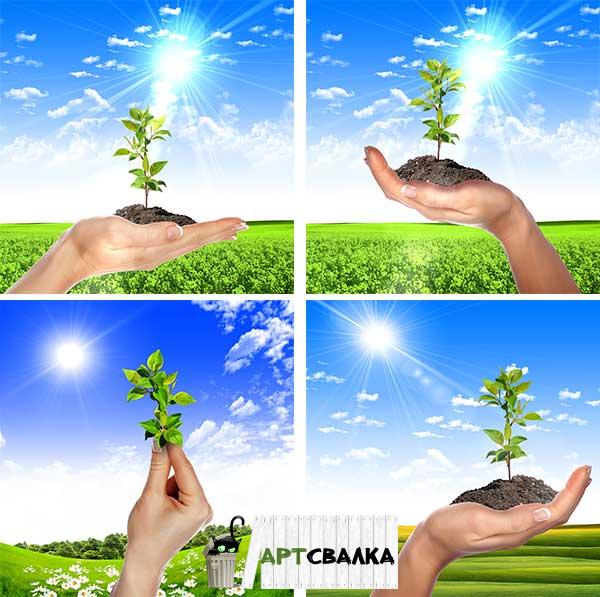 экологически чистая природа растровый клипарт | environmentally friendly nature raster clipart